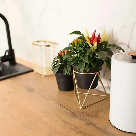 Apartamento Moveen! Nowoczesne Studia Z Parkingiem! 10 Min Od Centrum