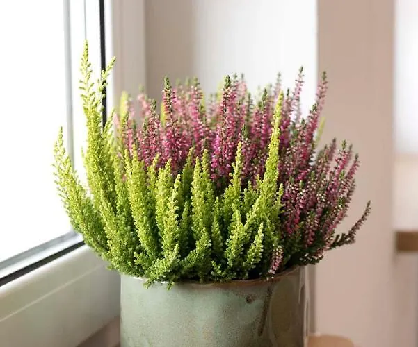 Moveen! Nowoczesne Studia Z Parkingiem! 10 Min Od Centrum *