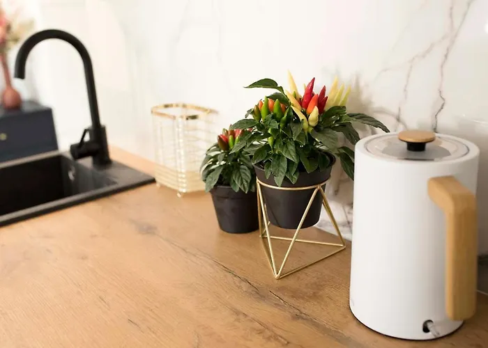 Appartamento Moveen! Nowoczesne Studia Z Parkingiem! 10 Min Od Centrum